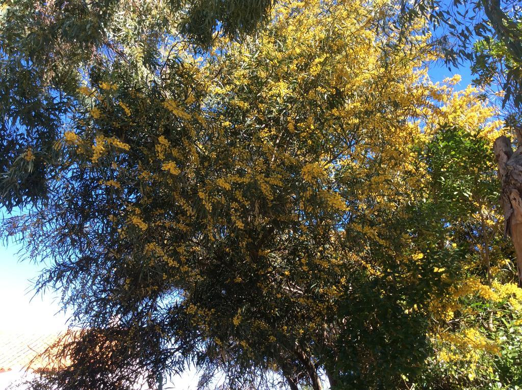 Appartamento Sole Olbia