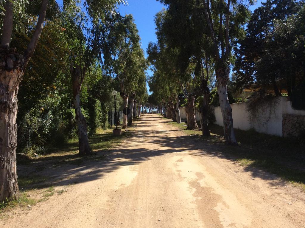 Sole * Olbia