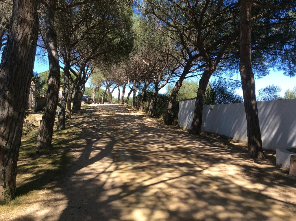 Appartamento Sole *