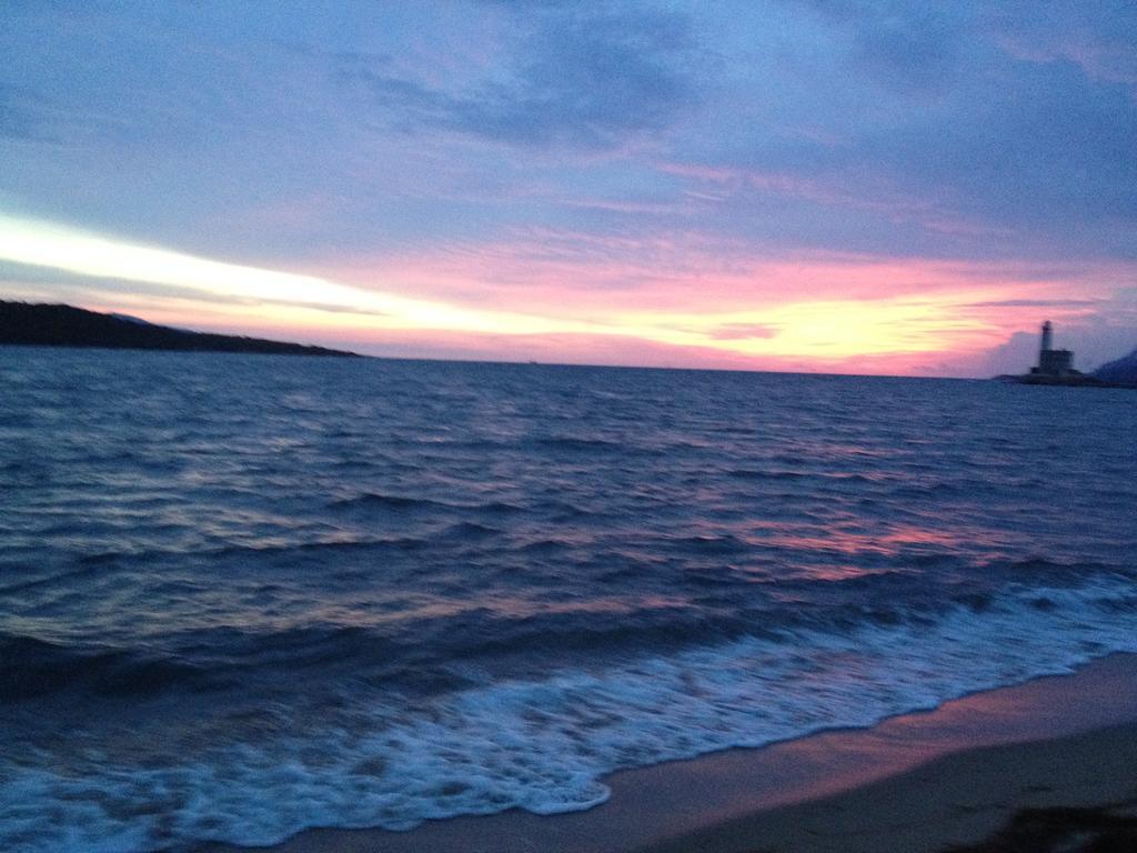 Sole Olbia